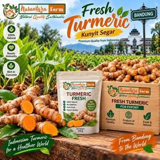 Fresh Turmeric (Curcuma)