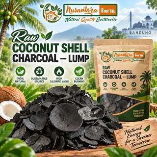 Raw Coconut Shell Charcoal — Lump